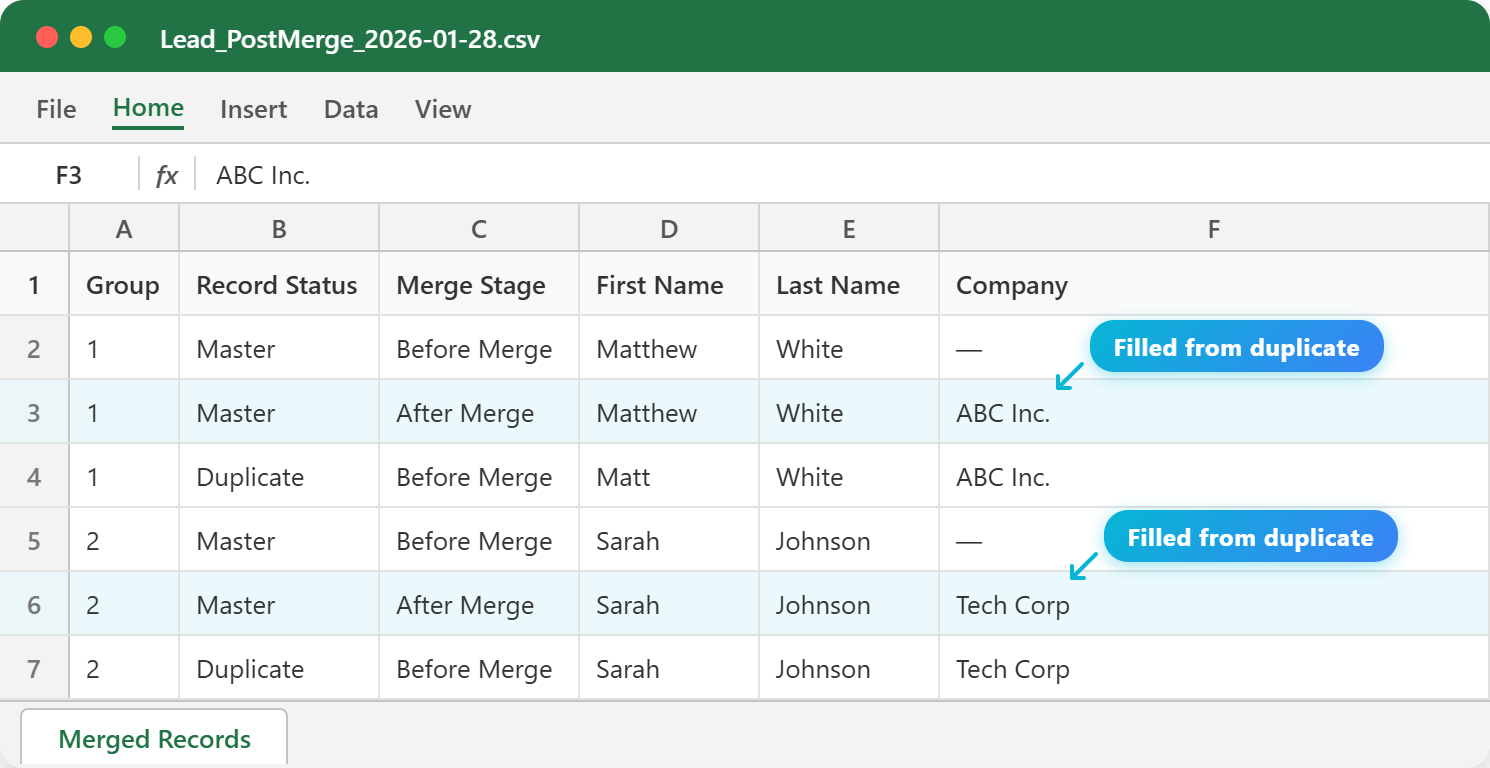 No Duplicates merge report showing before and after field values with audit trail